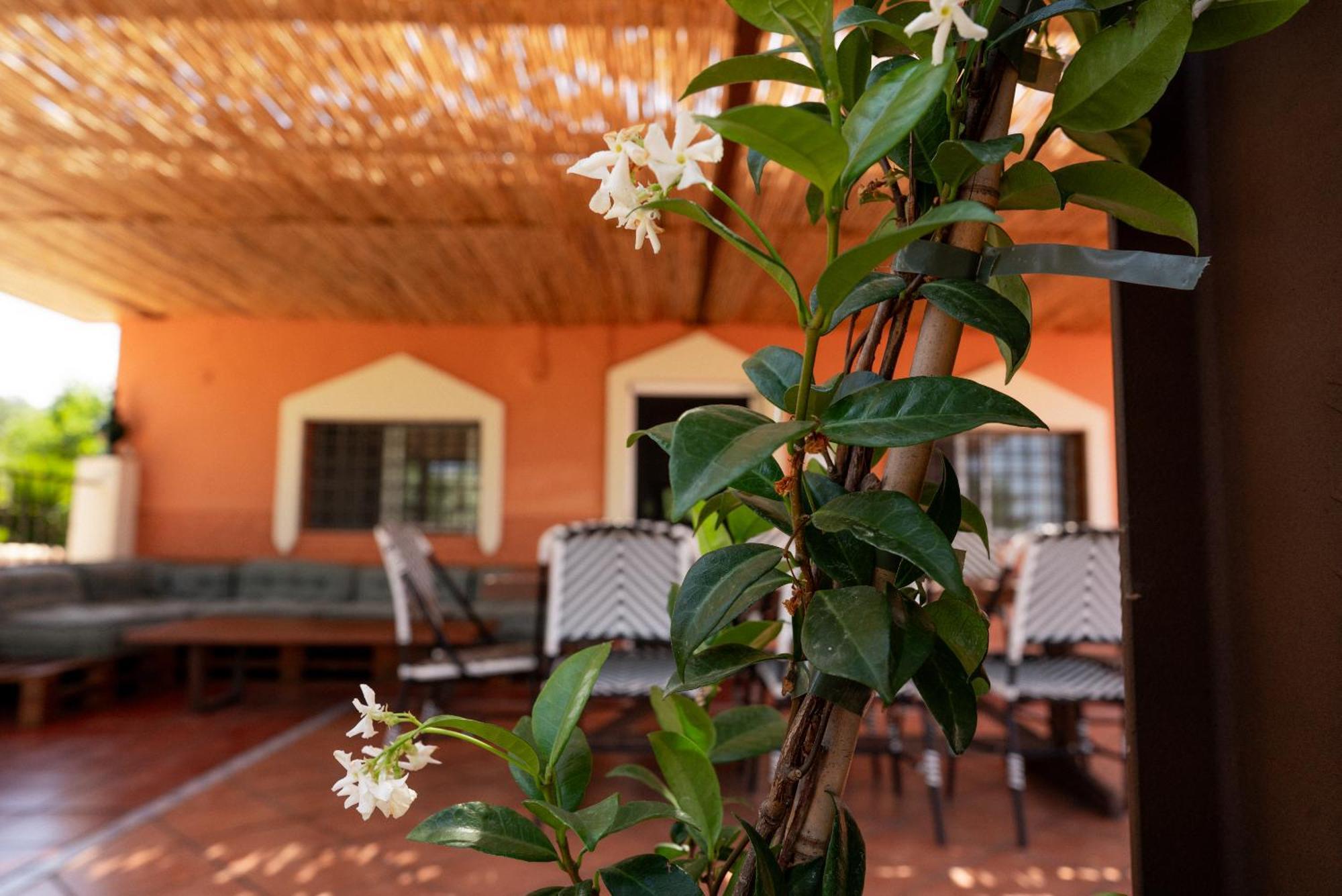 Origen Andevalo Calanas Exterior foto
